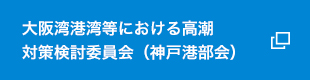 大阪湾港湾等における高潮対策検討委員会(神戸港部会)